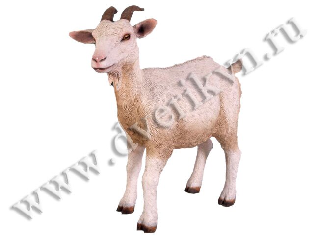 фигура реалистичная коза, садовая фигура коза, декоративная фигура коза, фигура коза, садовые фигуры, парковые скульптуры, малые архитектурные формы, реалистичная фигура козы, фигура коза фото, купить фигуру коза